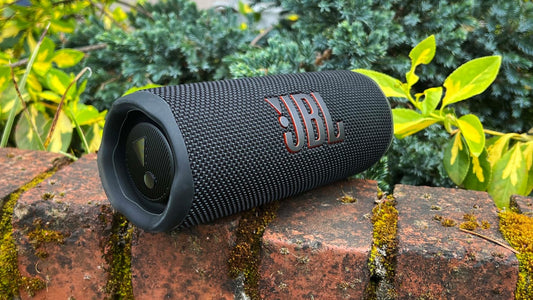 JBL Flip 6 Portable Bluetooth Waterproof Speaker