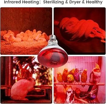 Chicken Infrared RED heat lamp light bulb + Free Porcelain Holder